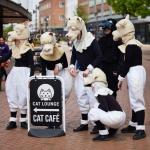 An image of a Naughty Flock of Sheep
