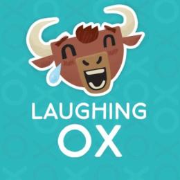 Matt Richardson's Laughing Ox at Cornerstone Arts Centre in Didcot